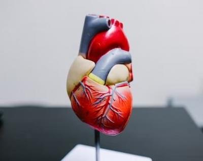 This cholesterol pill may fight high risk of heart attack, stroke: Study