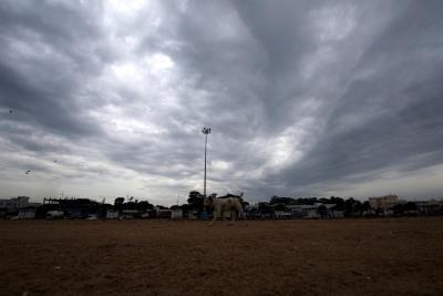 Heavy rain forecast in Western Ghats, interior Tamil Nadu districts till May 16
