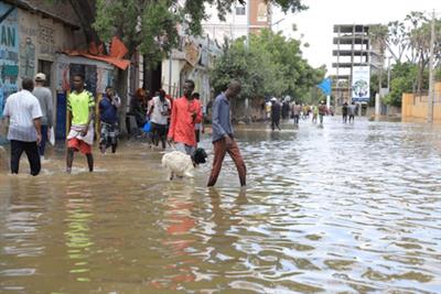 Flash floods kill 17, displace over 84,000 people in Somalia