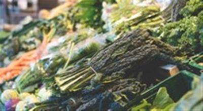 Study claims online plant-based diet programme can help manage diabetes