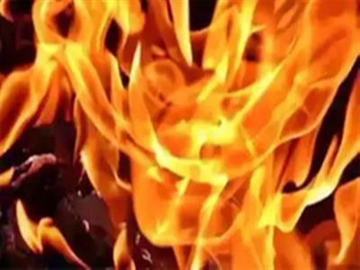 Rajasthan: Mining mafia sets DSP's vehicle ablaze in Sawai Madhopur