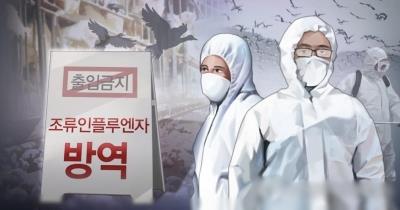 South Korea suspends imports of Brazilian poultry after bird flu outbreak at chicken farm