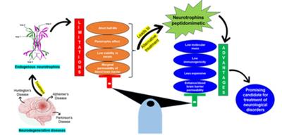 Indian scientists find drugs with potential to treat neurodegenerative disorders