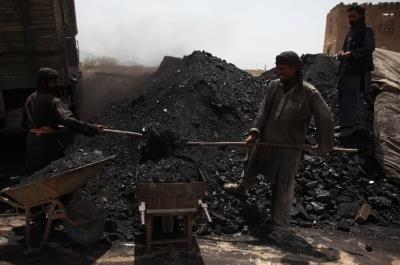 India's coal import bill falls by $7.93 billion as local production surges in FY25