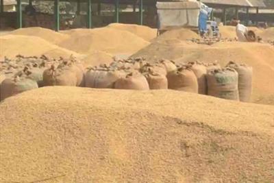 India’s food production surges to record high of 354 million tonnes in 2024-25