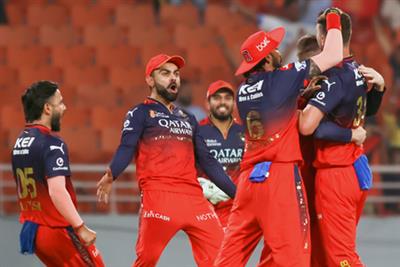 IPL 2025: Players are very focused and determined to finish the job, says RCB’s Bobat