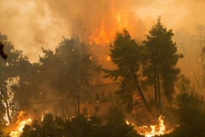 Greek court finds 10 guilty over deadliest wildfire