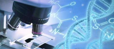 Scientists develop real-time genome sequencing to combat deadly superbug