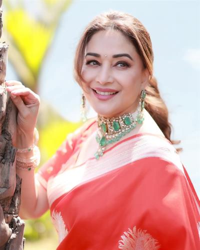 ਮਾਧੁਰੀ ਦੀਕਸ਼ਿਤ, ਅੱਲੂ ਅਰਜੁਨ, ਕਮਲ ਹਾਸਨ ਅਤੇ ਹੋਰਾਂ ਨੇ ਸਾਰਿਆਂ ਨੂੰ ਈਦ ਮੁਬਾਰਕ ਦੀ ਵਧਾਈ ਦਿੱਤੀ