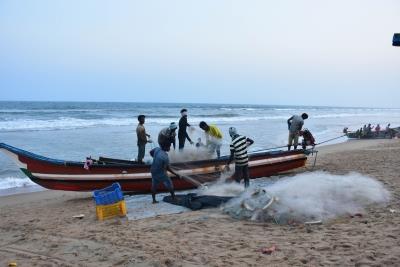 As Tuna, shrimp rates fall, Tamil Nadu fishers demand price-setting committee