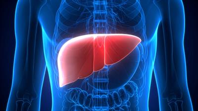 Study shows alcohol-linked liver deaths rising in women, young adults