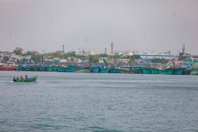 Boats return with bumper catch after 61-day fishing ban ends in Tamil Nadu