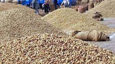 Will ensure that edible oil price reduction reaches consumers: Centre