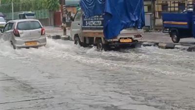 Seven dead, over 100 rescued in three days as rains pound Gujarat