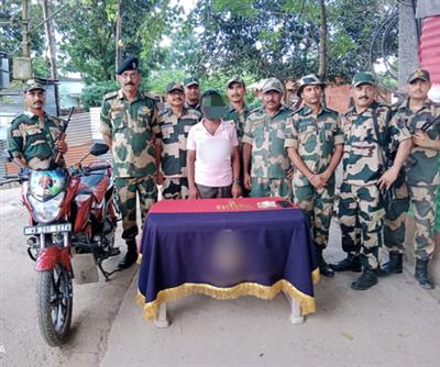 बीएसएफ ने भारत-बांग्लादेश सीमा पर तस्कर को गिरफ्तार किया, 2.43 करोड़ रुपये का सोना जब्त किया