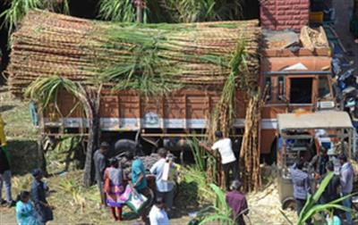 India’s sugar output to rise 15 pc at 35 million tonnes on favourable monsoon: Crisil