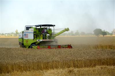 India’s agriculture & allied sector clocks 54.6 per cent jump in output from 2011–12 to 2023–24