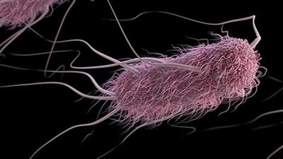 Portable DNA sequencing device key to hunt down drug-resistant hotspots