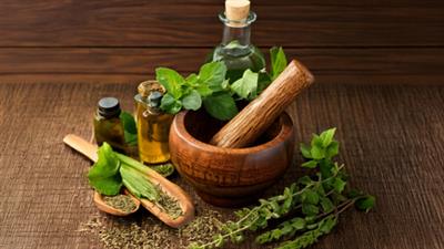 Traditional medicine crucial to achieving global goals of Universal Health Coverage: Ayush Ministry