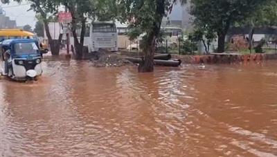 दिल्ली-एनसीआर में भारी बारिश से जनजीवन अस्त-व्यस्त, प्रमुख सड़कें जलमग्न