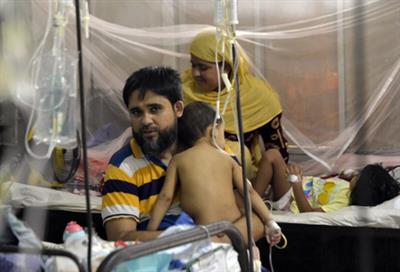 Bangladesh reports 51 dengue deaths as healthcare infrastructure fails
