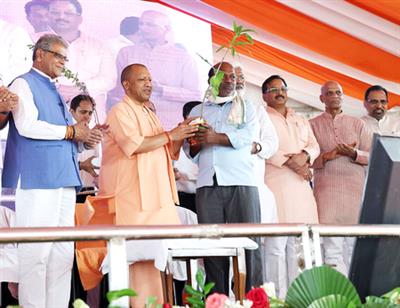Yogi govt achieves historic milestone: Over 37 crore saplings planted in a single day