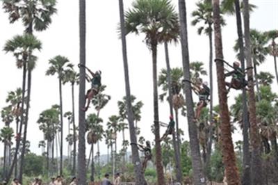 Number of people affected by adulterated toddy in Hyderabad rises to 37