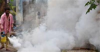 Chennai steps up dengue prevention measures as cases rise