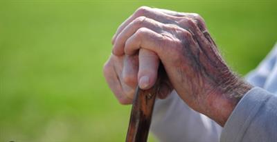 Haryana panel comes to rescue of elderly parents over son's harassment