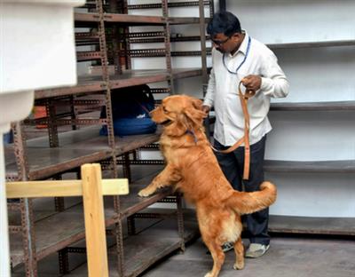 आगरा के स्कूलों को बम की धमकी, ईमेल में फिर 'रोडकिल' का ज़िक्र