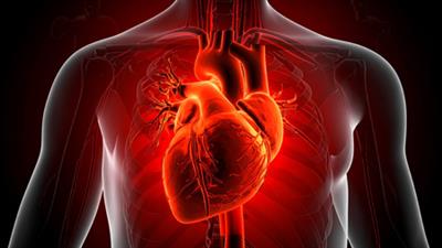Study links common diabetes drug with cardiovascular risk