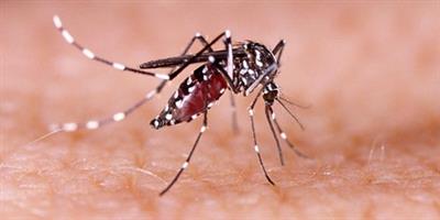 Dengue fever cases surge in Vietnam