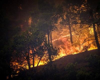 Europe wildfires double average as extreme risk expected into September