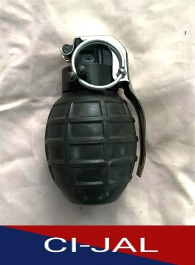 Punjab Police recover hand grenade from arrested BKI operatives
