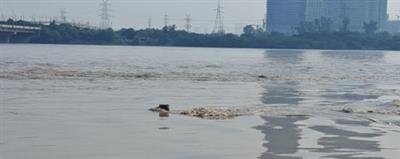 Delhi's Yamuna Bazar flooded as river swells; residents struggle without food, shelter