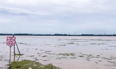 गोदावरी नदी का जलस्तर बढ़ने पर भद्राचलम में पहली बाढ़ की चेतावनी जारी
