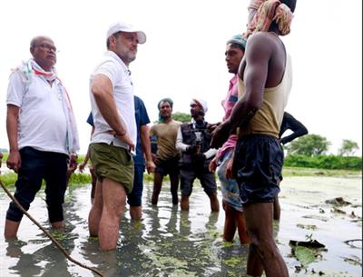 मतदाता अधिकार यात्रा: राहुल गांधी ने कटिहार में मखाना किसानों से मुलाकात की