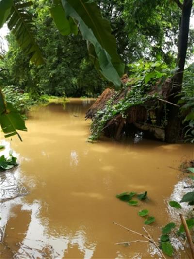 ओडिशा में प्रमुख नदियों के खतरे के निशान से ऊपर बहने से बाढ़ की चेतावनी