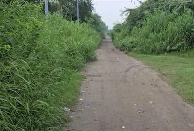 दिल्ली पुलिस ने अमेरिका स्थित हैरी बॉक्सर गिरोह के दो सदस्यों को गिरफ्तार किया