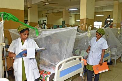 Bangladesh: Three more people die due to dengue, 2025 death toll rises to 125