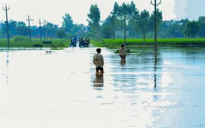 पंजाब के मंत्री ने केंद्र से फसल नुकसान के लिए 50,000 रुपये प्रति एकड़ राहत देने का आग्रह किया