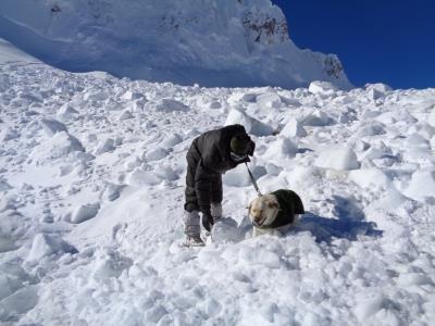 Three soldiers killed in Siachen avalanche