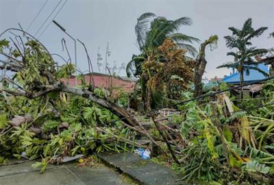 Death toll from Typhoon Bualoi rises to 11 in Vietnam