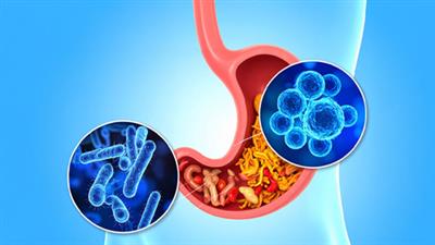 A healthier gut may help improve depression and anxiety, says study