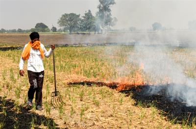 पंजाब और हरियाणा में बाढ़ के बाद पराली जलाने में 77 प्रतिशत की कमी आई