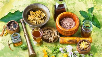 Ayurveda Day transformed from national observance into a global health movement: CSIR-NIScPR