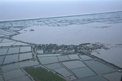 Cyclone damages crops over 2.14 lakh acres, 2,294 km of roads in Andhra
