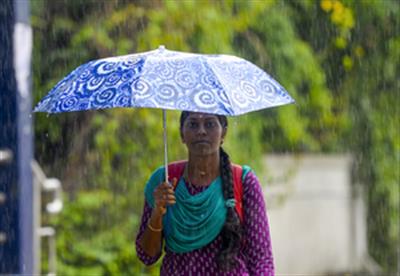 Mild rains likely in parts of Tamil Nadu, strong winds over Andaman Sea and Arabian coast
