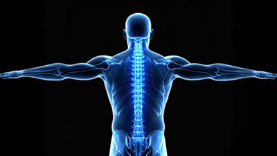 Japanese researchers successfully regenerate bone using stem cells