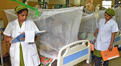 Bangladesh : Five more people die of dengue, fatalities rise to 307